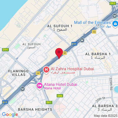 Google Maps static image